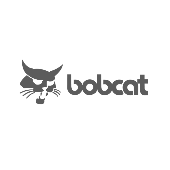 Bobcat